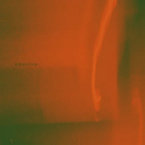 Bees Made Honey In The Vein Tree : Craving